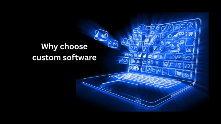 "Custom software development for businesses offering scalable and secure solutions."